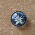 Flannel Flower - Bezel Stud Earrings